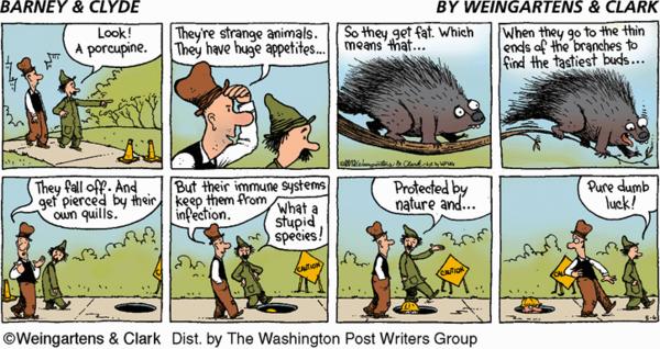 Barney & Clyde for 5/6/2012