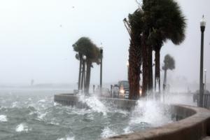 Scott Keeler/Tampa Bay Times/Tampa Bay Times via ZUMA Wire/TNS