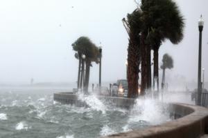 Scott Keeler/Tampa Bay Times/TNS