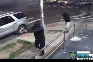 New York Police Department/TNS