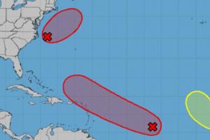 National Hurricane Center/TNS