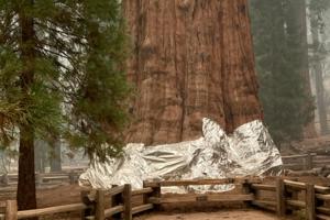 National Park Service/Handout/TNS