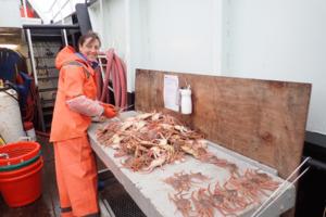 Courtesy NOAA Fisheries/TNS/TNS
