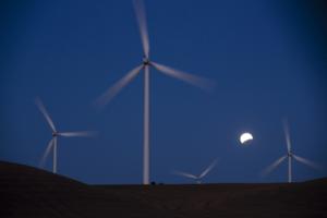 Brian van der Brug/Los Angeles Times/TNS