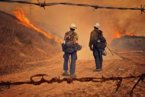 Mike Eliason/Santa Barbara County Fire Department/TNS/TNS