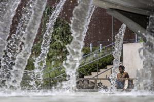 Brian van der Brug/Los Angeles Times/TNS