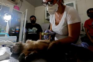 Luis Sinco/Los Angeles Times/TNS