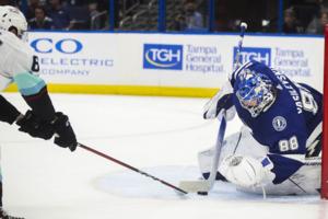 Dirk Shadd/Tampa Bay Times/TNS