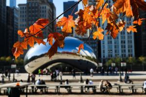 Jose M. Osorio/Chicago Tribune/TNS