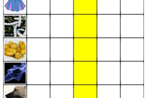 Photowords Image