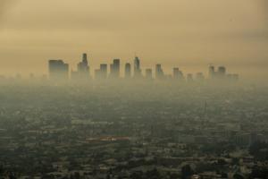Brian van der Brug/Los Angeles Times/TNS