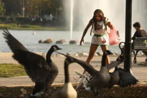 Genaro Molina/Los Angeles Times/TNS