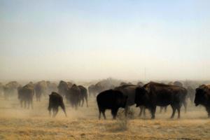 Dreamstime/Dreamstime/TNS