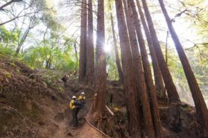 Nic Coury/AFP/GETTY IMAGES NORTH AMERICA/TNS