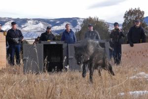 Courtesy Colorado Parks and Wildlife/TNS/TNS