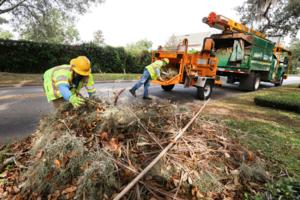 Joe Burbank/Orlando Sentinel/TNS