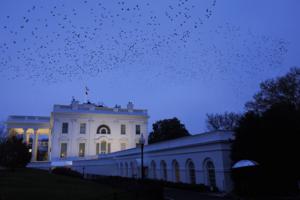 Tom Brenner/Getty Images North America/TNS