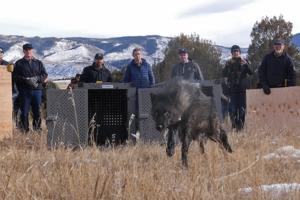 Colorado Parks and Wildlife/TNS