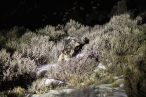 Colorado Parks and Wildlife/Colorado Parks and Wildlife/TNS