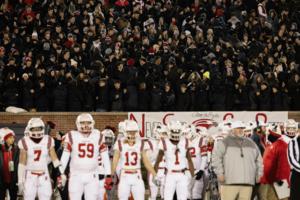 Paul Halfacre, St. Louis Post-Dispatch/St. Louis Post-Dispatch/TNS