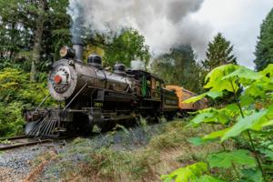 Courtesy of Mt. Rainier Scenic Railroad/The Seattle Times/TNS