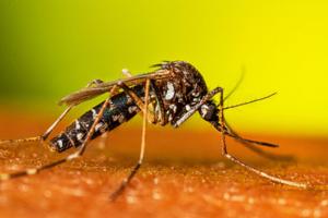 centers for disease control and prevention/TNS