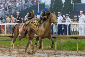 Ryan C. Hermens/Lexington Herald-Leader/TNS