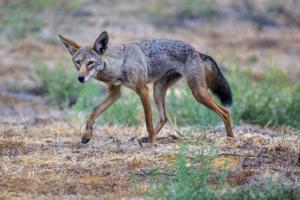 Mark Rightmire/Bay Area News Group/TNS