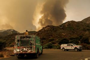 Gina Ferazzi/Los Angeles Times/TNS