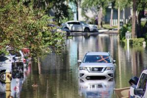 Max Chesnes/Tampa Bay Times/TNS