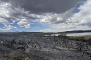 U.S. Forest Service/TNS/TNS