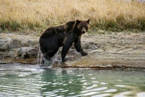 KAREN BLEIER/AFP/Getty Images North America/TNS