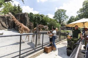 Tyger Williams/The Philadelphia Inquirer/TNS