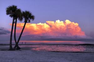 Dirk Shadd/Tampa Bay Times/TNS