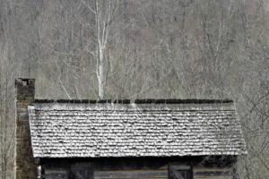 Charles Bertram/Lexington Herald-Leader/TNS