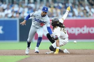 Sean M. Haffey/Getty Images North America/TNS