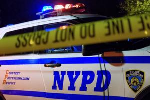 Gardiner Anderson/New York Daily News/TNS