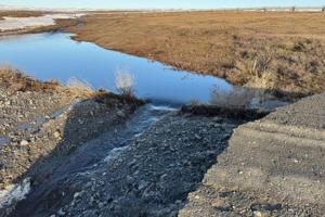 Alaska Department of Transportation & Public Facilities/TNS