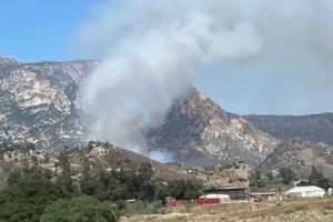 Cal Fire/Cal Fire/TNS