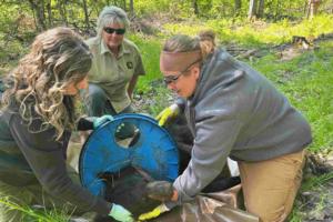 Michigan Department of Natural Resources/Michigan Department of Natural Resources/TNS