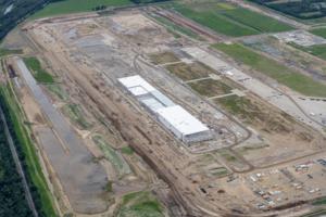 Walbridge/Ford Motor Company/TNS