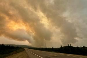 Alaska Division of Forestry and Fire Protection/TNS/TNS