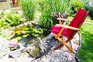 You can create a garden pond as the focal point of a landscape plan or tuck it away as a quiet retreat. (Dreamstime/TCA)