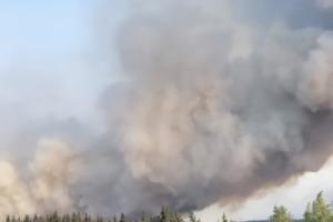Alaska Division of Forestry and Fire Protection/Alaska Division of Forestry and Fire Protection/TNS