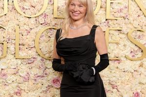 Bang Showbiz / Pamela Anderson hit it off with Liam Neeson.