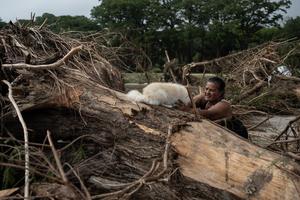 A woman lifts her dog over a large tree that was uprooted by flash flooding in Louise Hays Park next to the Guadalupe River on July 5, 2025, in Kerrville, Texas. (Jim Vondruska/Getty Images/TNS)