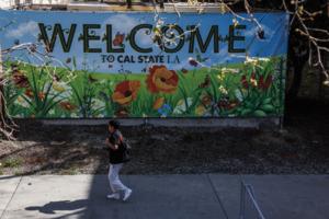 Robert Gauthier/Los Angeles Times/TNS