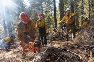 Stanislaus National Forest/Stanislaus National Forest/TNS