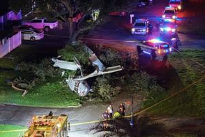 Joe Cavaretta/South Florida Sun Sentinel/TNS