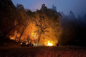 U.S. Forest Service/TNS/TNS